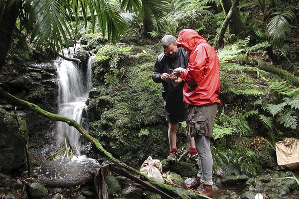 Scientists on Lord Howe Island