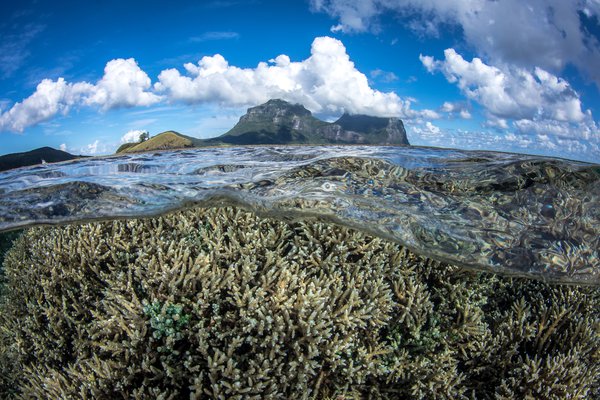 The reef at Lord Howe Island