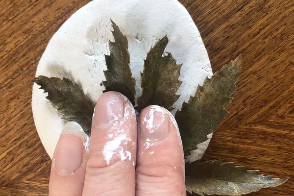 Impression fossil activity – Pressing some leaves into clay