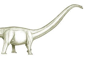 Western Australian Giant Sauropod