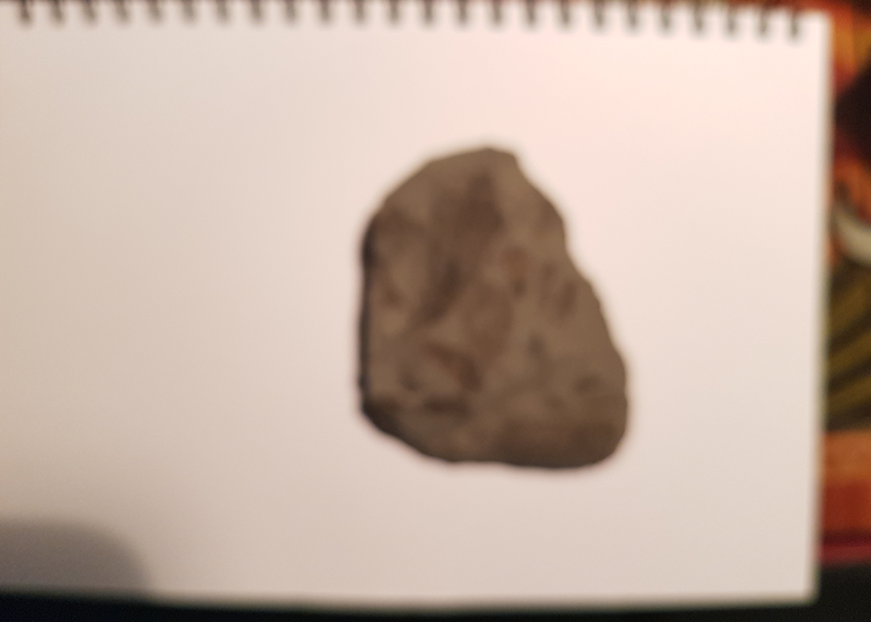 Fossil identification photo